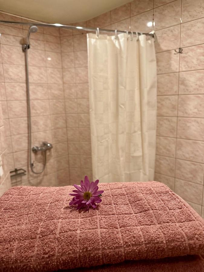 Center Of Apartments, Bus Station 1min, Airport 5 Min Dzīvoklis